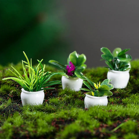 4PCS Mini Potted Plants – Dollhouse Miniature Furniture & Home Decor